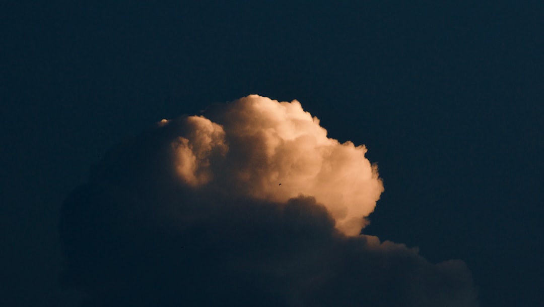 Cloud cost optimization startups in 2026: who's funded, who actually saves you money